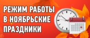 График и режим работы в ноябрьские праздники 2024 г