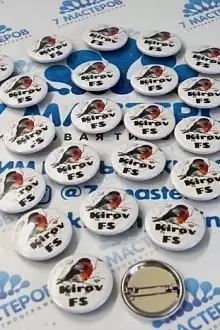 Значки с заколкой